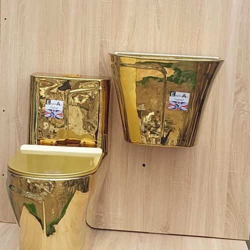 Gold water closet(W.C) with wall hung basin